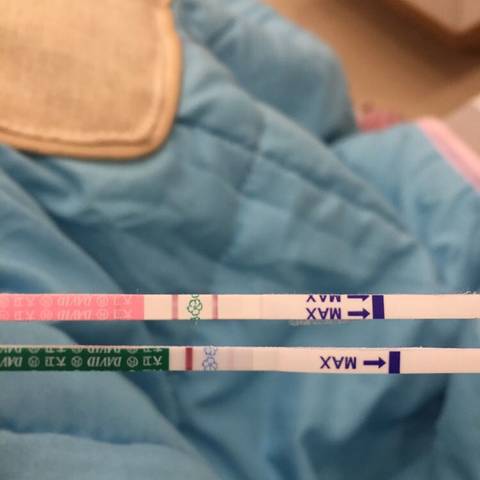 journal_insert_pic_884800419