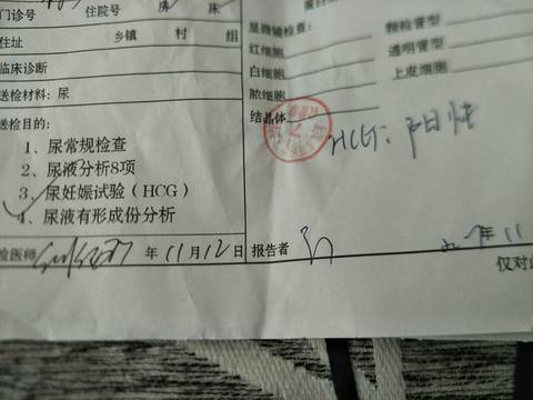 journal_insert_pic_885677633