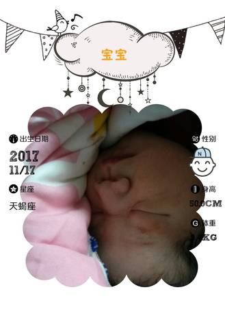 journal_insert_pic_887005381