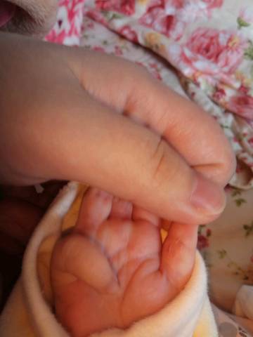 journal_insert_pic_887339377