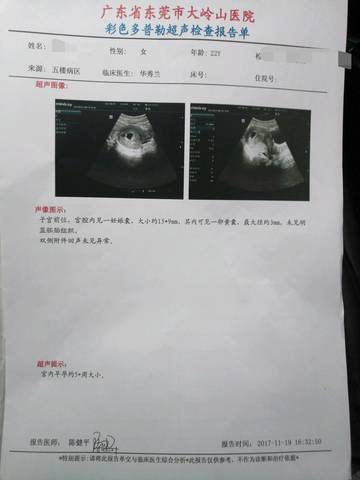 journal_insert_pic_887902481