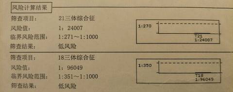 journal_insert_pic_888558245