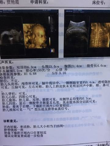 journal_insert_pic_889264046