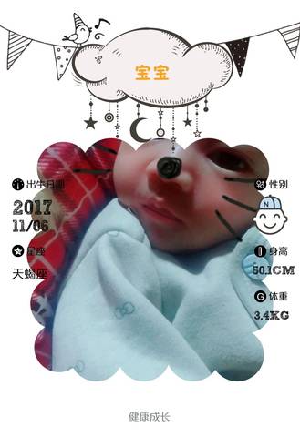 journal_insert_pic_889417436