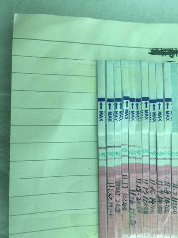 journal_insert_pic_890137206