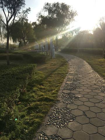journal_insert_pic_890550923