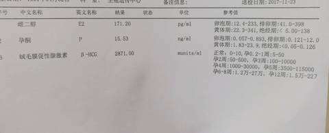 journal_insert_pic_890350975