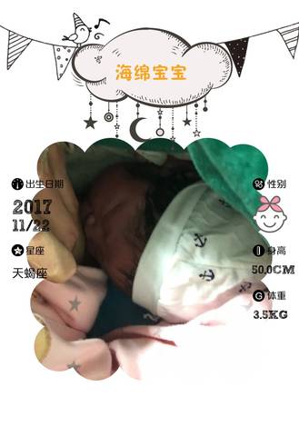 journal_insert_pic_890054660