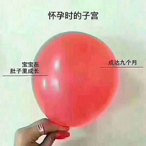 journal_insert_pic_890733075