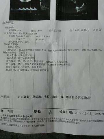 journal_insert_pic_890754004