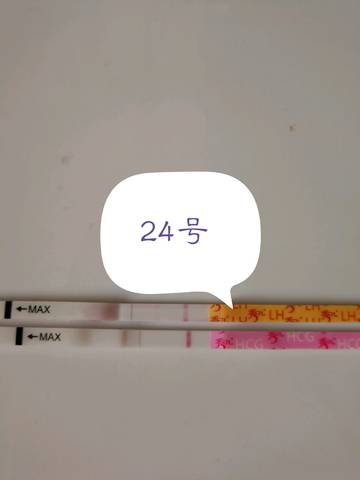 journal_insert_pic_891605509