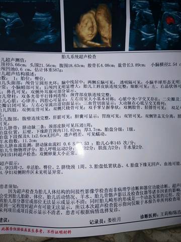 journal_insert_pic_892124744