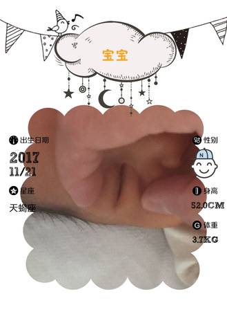 journal_insert_pic_892944903