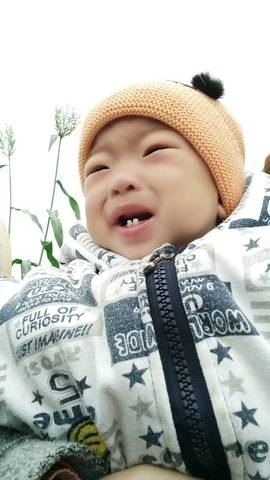 journal_insert_pic_893942845