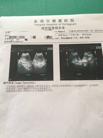 journal_insert_pic_893573422