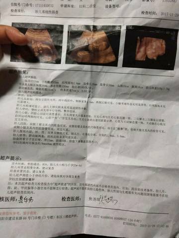 journal_insert_pic_894634285