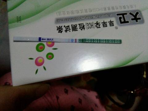 journal_insert_pic_895371846