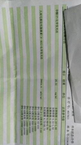 journal_insert_pic_895926621
