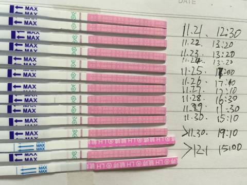 journal_insert_pic_895843227