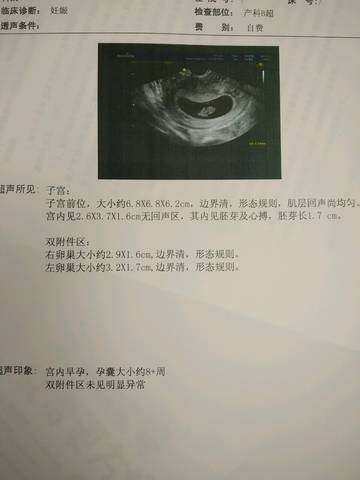 journal_insert_pic_896159007