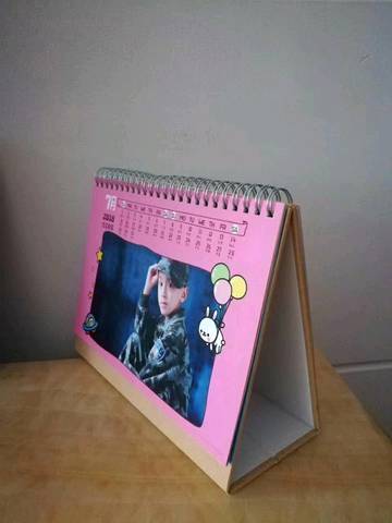 journal_insert_pic_895528405
