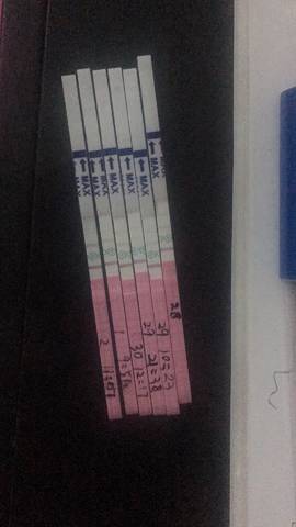 journal_insert_pic_896359990