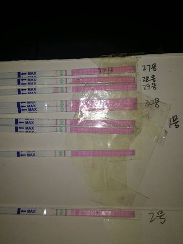 journal_insert_pic_896641010