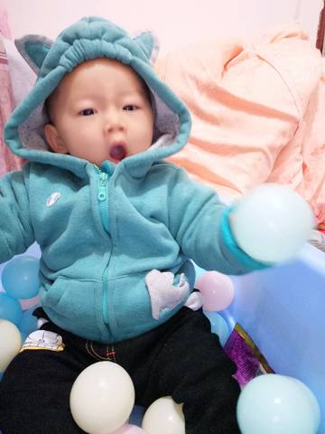 journal_insert_pic_896482341