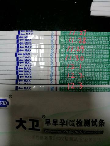 journal_insert_pic_897540914