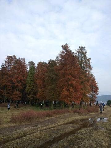 journal_insert_pic_897465018