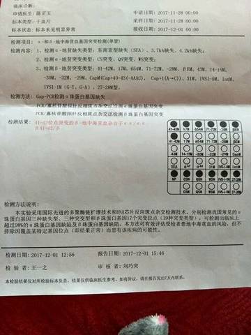 journal_insert_pic_898008367