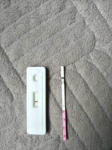 journal_insert_pic_897687263