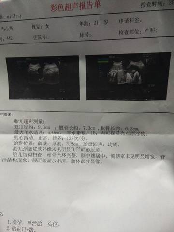journal_insert_pic_897705722