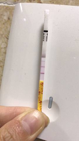 journal_insert_pic_898936929