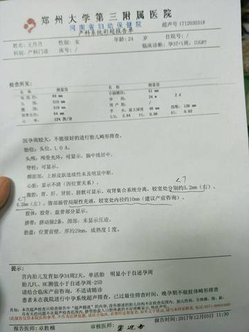 journal_insert_pic_899663401