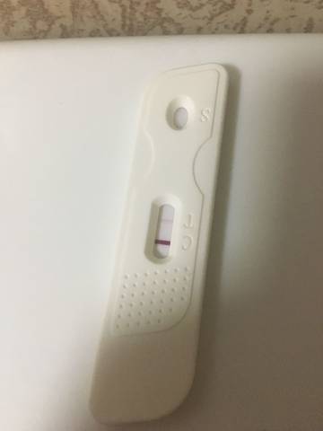 journal_insert_pic_900312846
