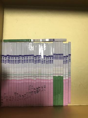 journal_insert_pic_900836995