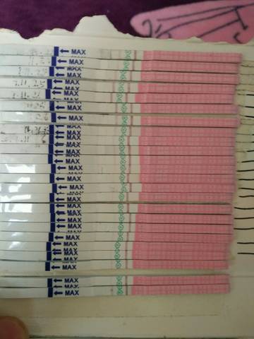 journal_insert_pic_900533883