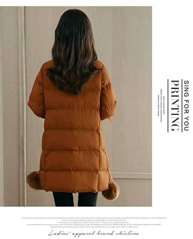 journal_insert_pic_900447075