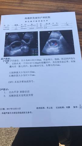 journal_insert_pic_902531549