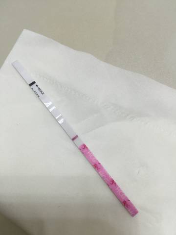 journal_insert_pic_903166366