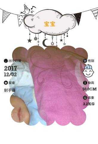 journal_insert_pic_903460050