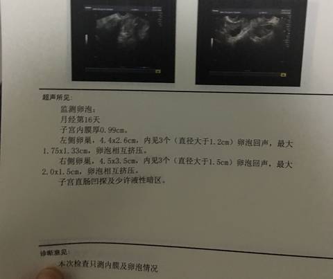 journal_insert_pic_904541771