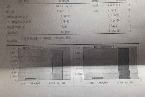 journal_insert_pic_905160736
