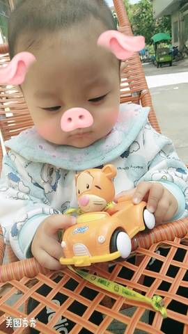 journal_insert_pic_905453670