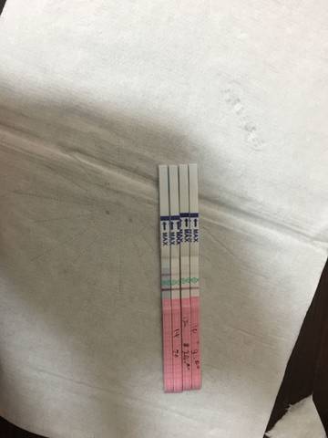 journal_insert_pic_905022531