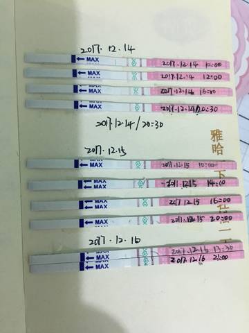 journal_insert_pic_906110351