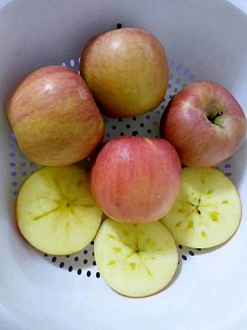 journal_insert_pic_907755113