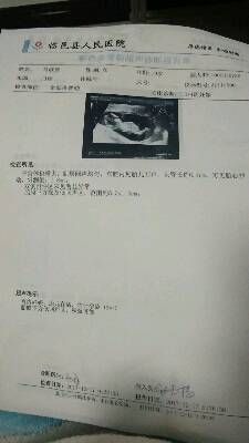 journal_insert_pic_908597102
