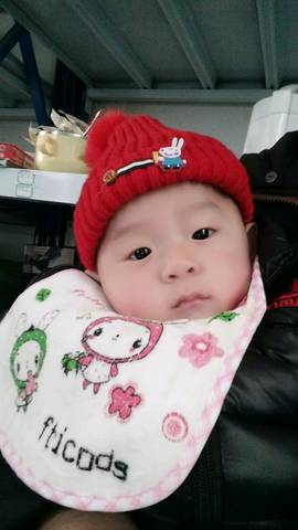 journal_insert_pic_909783053